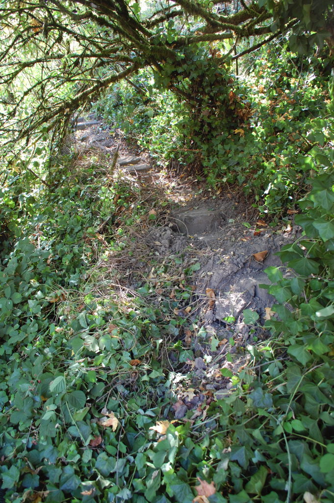 Stone steps on Cab;e Car Trail